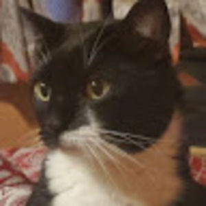 Meet your Posher, John